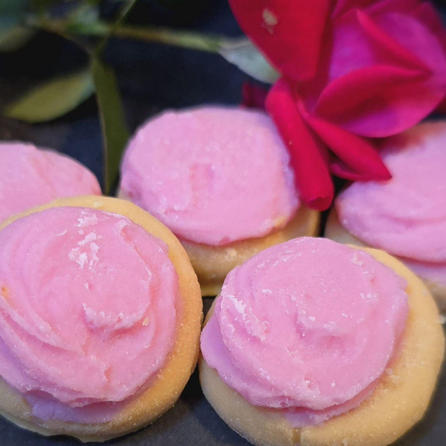 sugar cookie lover